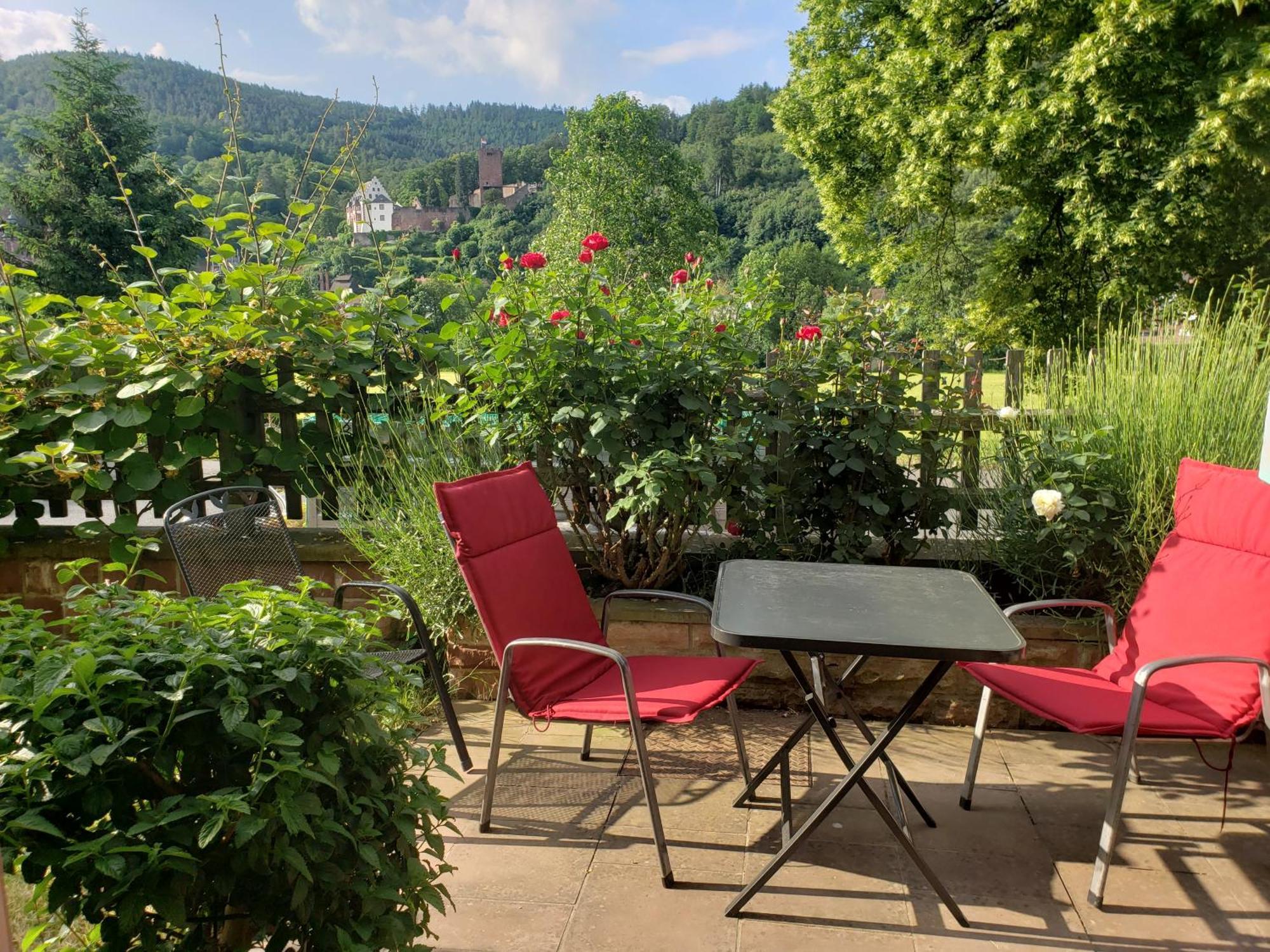 Apartamento Panorama-Blick Miltenberg, 3 Pers., Zentr., Am Main, Terrasse, Bootverleih, P Exterior foto