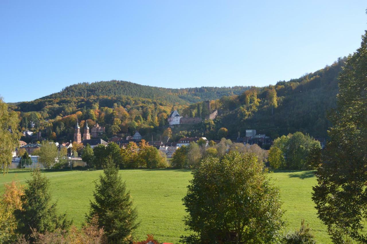 Apartamento Panorama-Blick Miltenberg, 3 Pers., Zentr., Am Main, Terrasse, Bootverleih, P Exterior foto