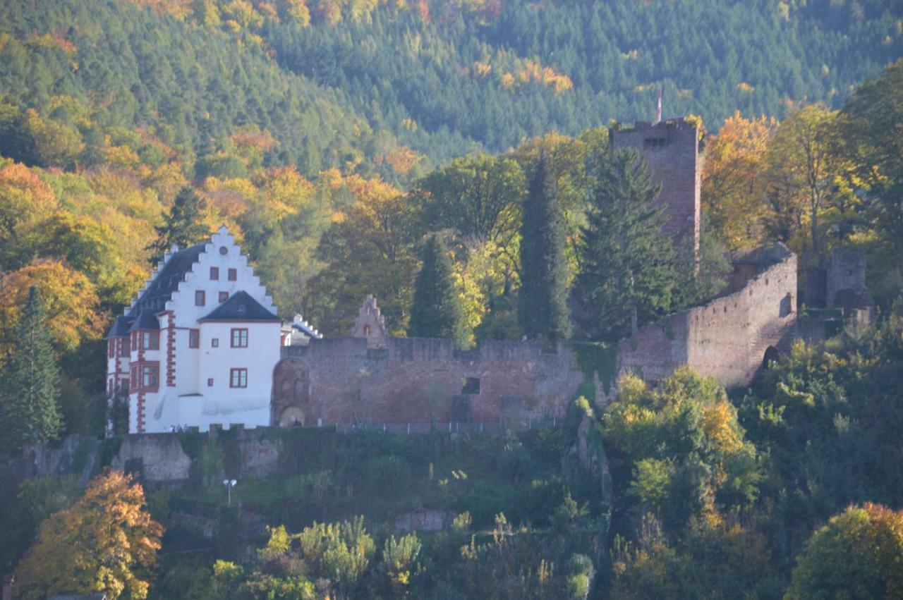 Apartamento Panorama-Blick Miltenberg, 3 Pers., Zentr., Am Main, Terrasse, Bootverleih, P Exterior foto