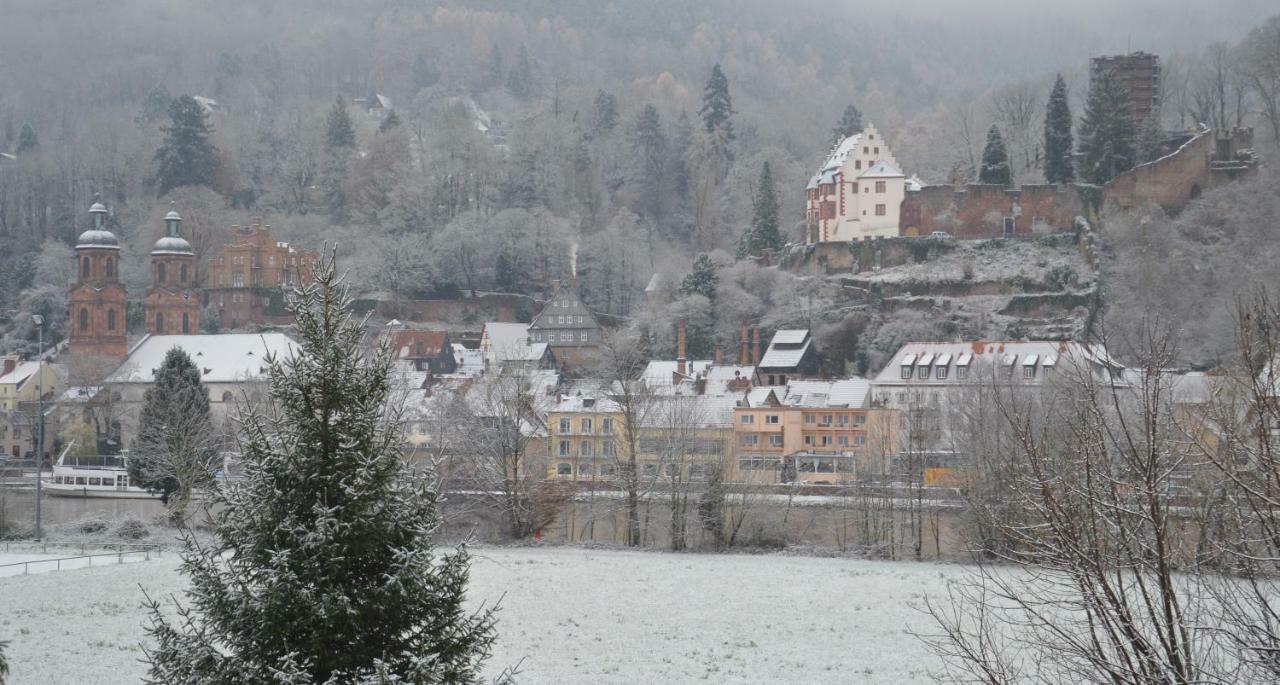 Apartamento Panorama-Blick Miltenberg, 3 Pers., Zentr., Am Main, Terrasse, Bootverleih, P Exterior foto