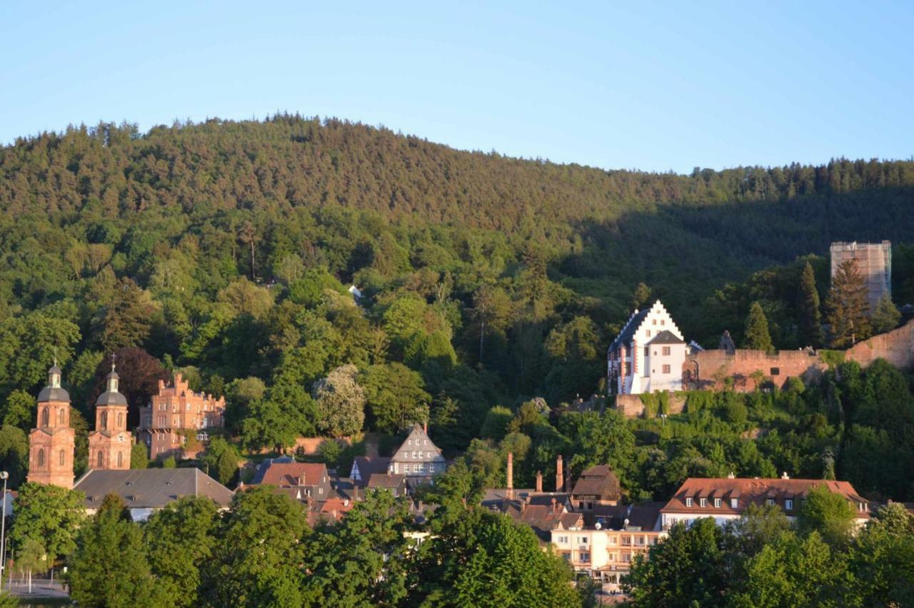 Apartamento Panorama-Blick Miltenberg, 3 Pers., Zentr., Am Main, Terrasse, Bootverleih, P Exterior foto